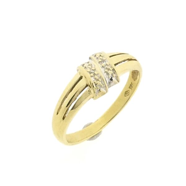 14 karaat gouden ring met diamant | 0,01 ct.