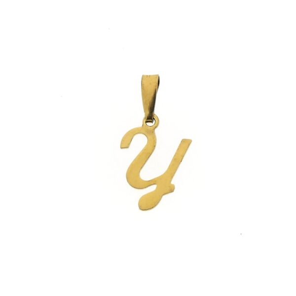 8 karaat hanger van de letter Y