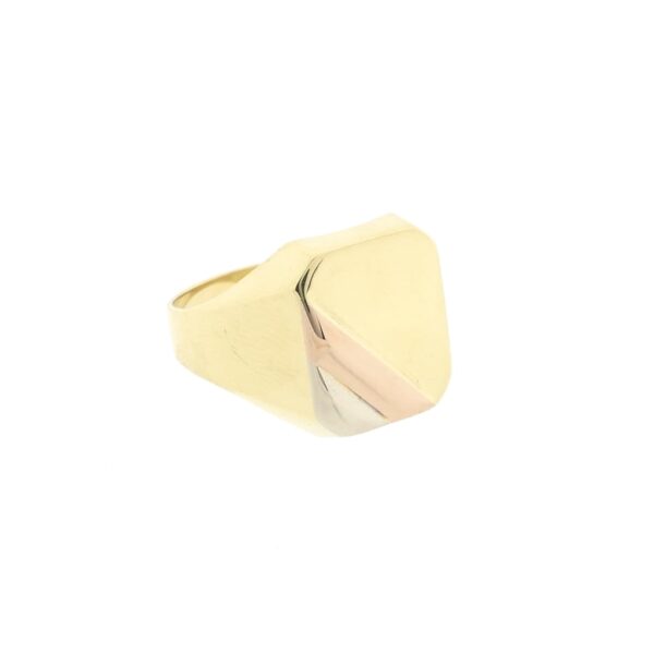 Tricolor gouden zegelring; heren | Anjer