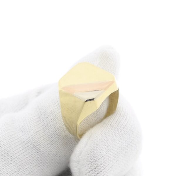 Tricolor gouden zegelring; heren | Anjer