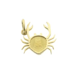 14 karaat gouden sterrenbeeld hanger; Kreeft