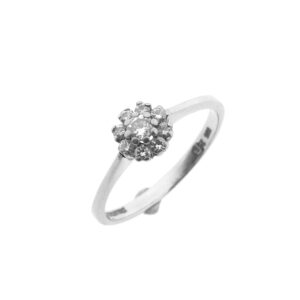 14 karaat witgouden entourage ring met diamant; 0,23 ct. | Diamonde
